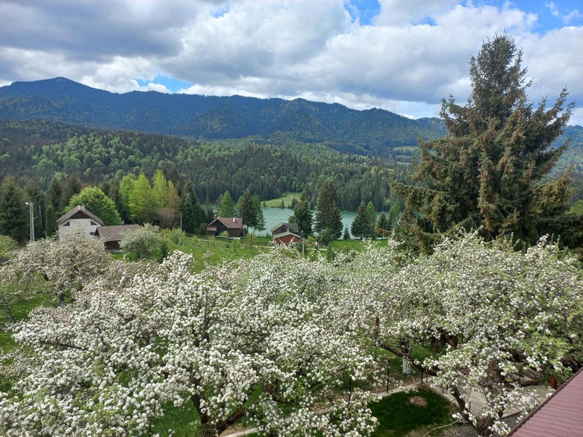 Casa De Vacanta Perla Colibitei Colibiţa Εξωτερικό φωτογραφία